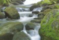 /album/fotogaleria/images-jpg/